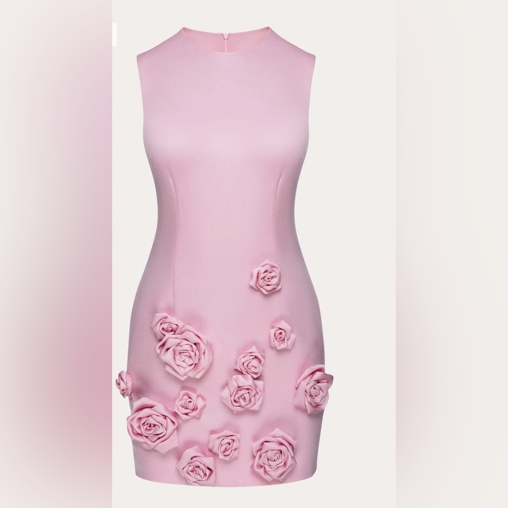 NDS The Label rose appliqué cady mini dress worn only once
